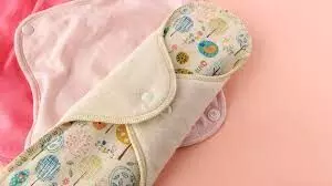 Niger Govt. to partner coy to provide re-usable pad to schoolgirls Niger Govt. to partner coy to provide re-usable pad to schoolgirls