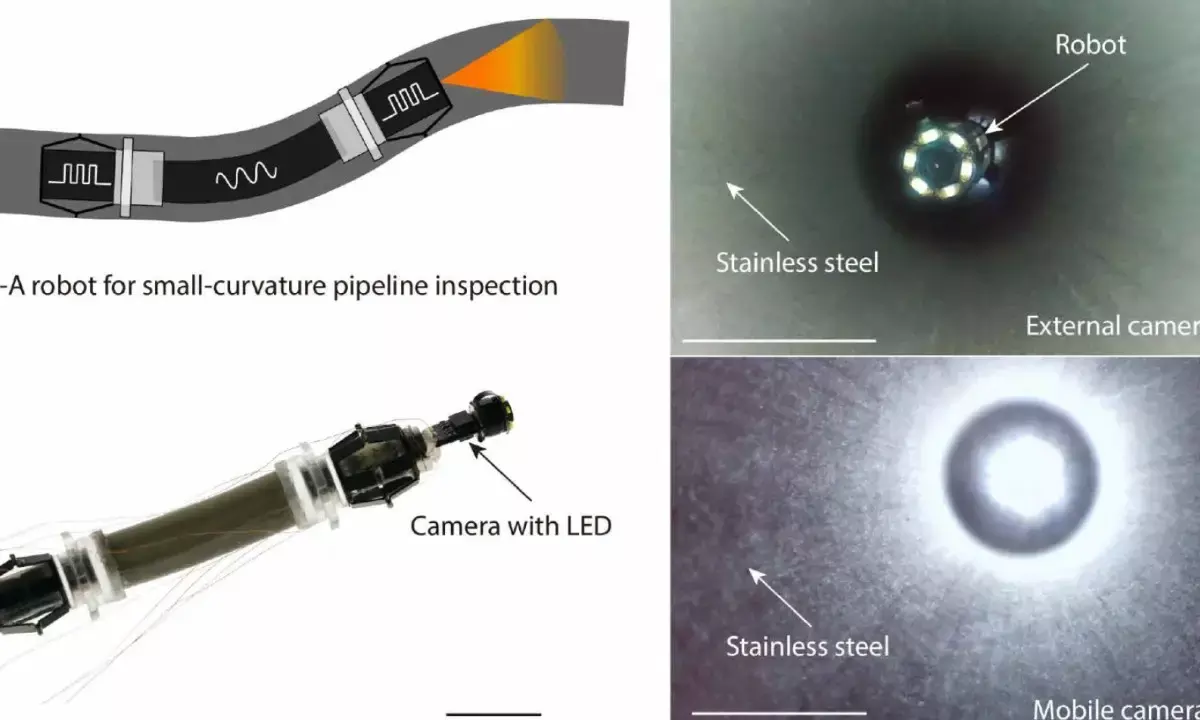 Chinese scientists design earthworm-like robot