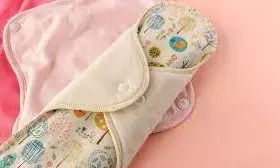 Niger Govt. to partner coy to provide re-usable pad to schoolgirls