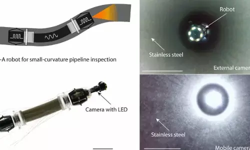 Chinese scientists design earthworm-like robot