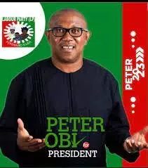 Igbo Group extols Peter Obi as Labour Party presidential candidate