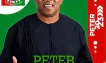 Igbo Group extols Peter Obi as Labour Party presidential candidate