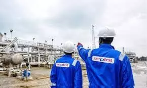 Seplat Energy awards N5bn to 3 directors