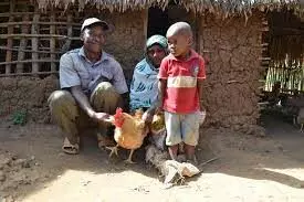 Tanzania lifts over 100,000 households from abject poverty Tanzania lifts over 100,000 households from abject poverty