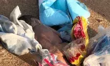 Dead newborn baby found on Ayobo road