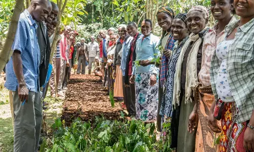 Stakeholders seek domestication of gender policy in agriculture Stakeholders seek domestication of gender policy in agriculture