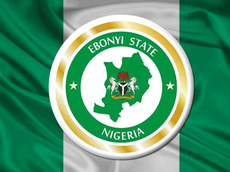 We wont be part of another PDP primaries in Ebonyi — Factional group