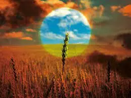 Russo-Ukraine war: Food emergency declared in Chad as grain supplies fall