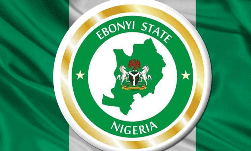 We wont be part of another PDP primaries in Ebonyi — Factional group