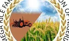 Lack of equipment hinders rice production – Farmer Lack of equipment hinders rice production – Farmer