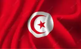 Tunisia to implement subsidy cuts in 2023, says Minister