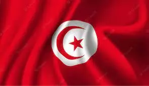 Tunisia to implement subsidy cuts in 2023, says Minister Tunisia to implement subsidy cuts in 2023, says Minister