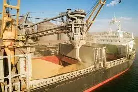 Russo-Ukraine war: Grain export corridor proposal in limbo Russo-Ukraine war: Grain export corridor proposal in limbo