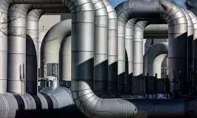 Russia not planning more stop to gas export, says govt.