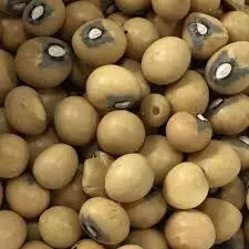 Bambara nut, solution to world hunger – Association