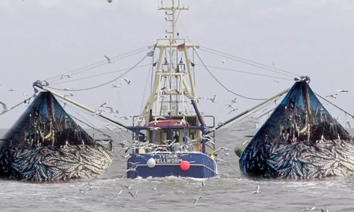 FG licences 164 fishing vessels to operate on economic zone