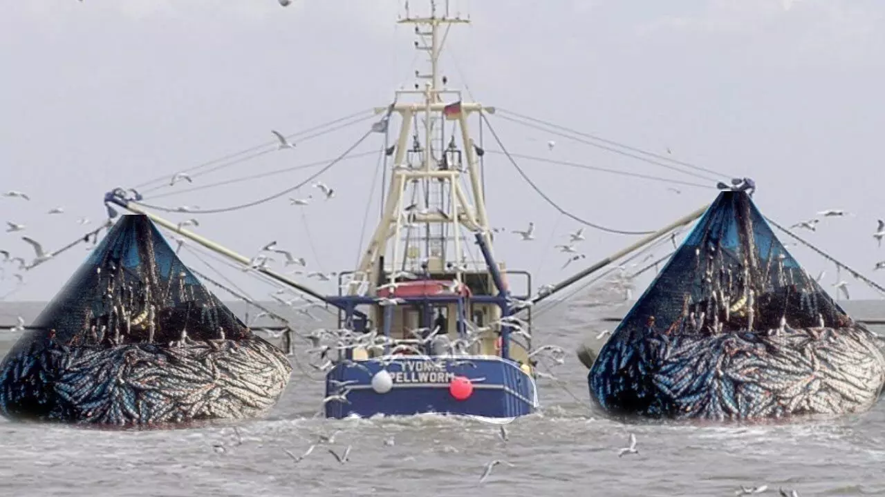 FG licences 164 fishing vessels to operate on economic zone