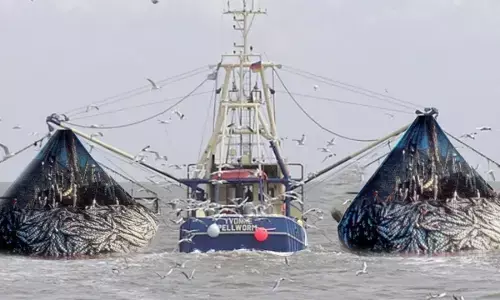 FG licences 164 fishing vessels to operate on economic zone FG licences 164 fishing vessels to operate on economic zone