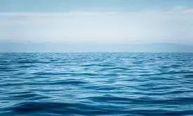 World Ocean Day: Readdressing harmful practices in maritime environment