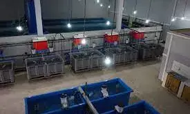 Agro-firm constructs fish hatchery, feeds factory Agro-firm constructs fish hatchery, feeds factory