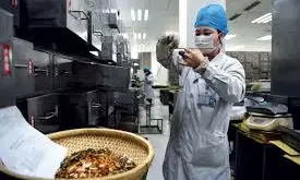 China to improve traditional Chinese medicine workforce