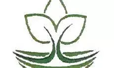 Delta ecology suitable for special breed of rice – NACCIA