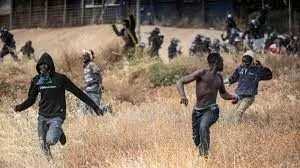 Diasporas seek probe of alleged maltreatment, killing of African migrants Diasporas seek probe of alleged maltreatment, killing of African migrants