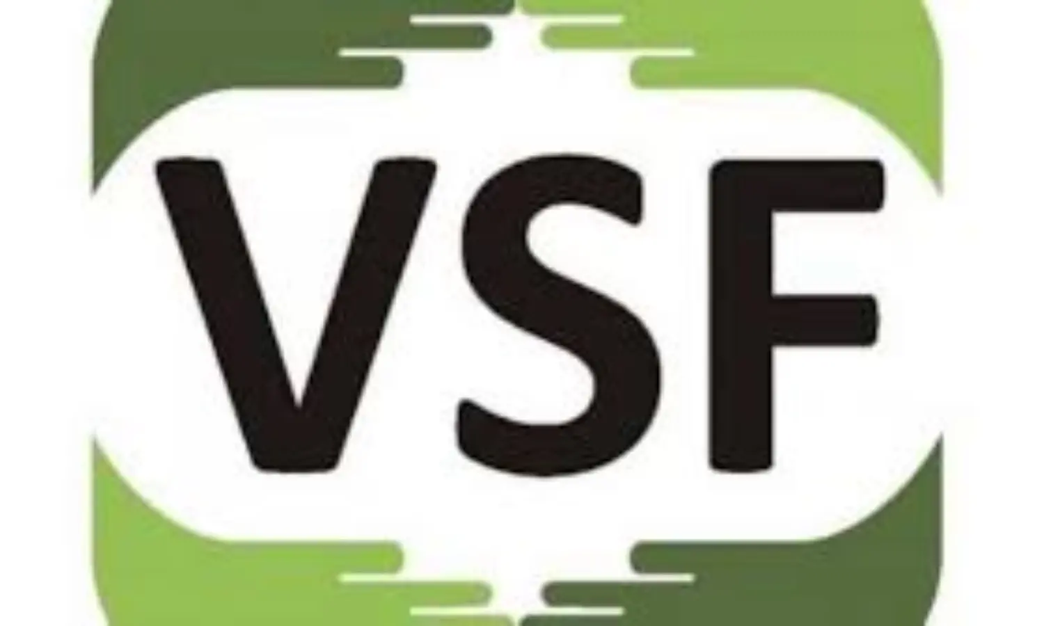 We have touched lives in 35 states — VSF