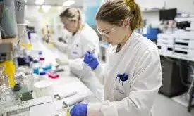 Scientists reveal CO2 emissions as key to fighting climate change