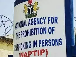 Trafficking: NAPTIP premieres Pound of Heart film