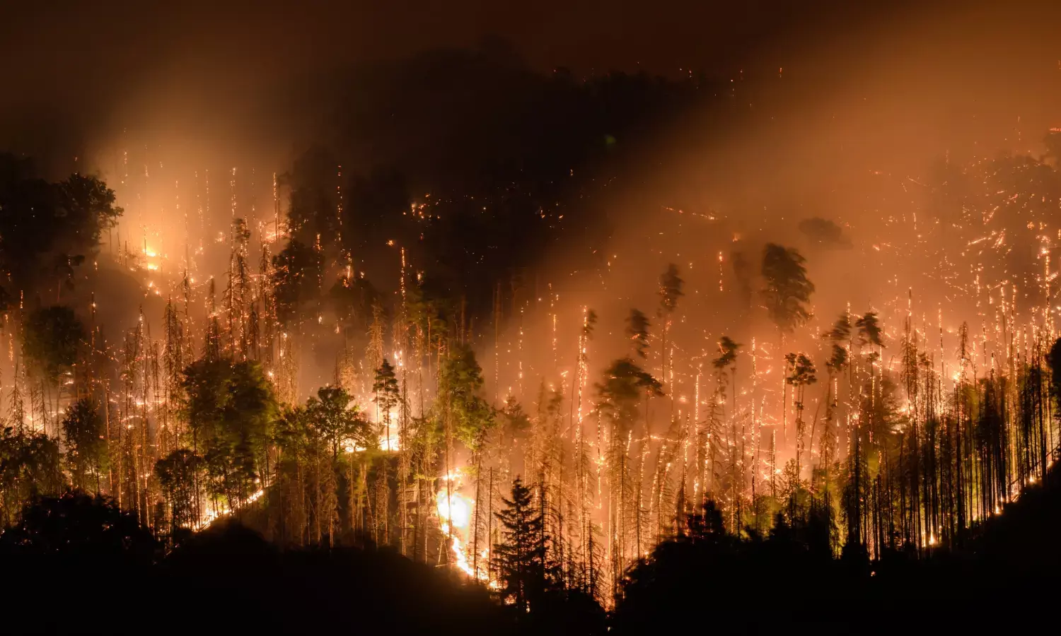 Fire guts German national park, battle against blaze ongoing