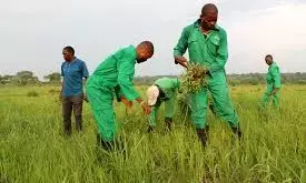 Strengthening ADPs for sustainable food security