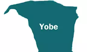 Yobe commissioner dies in auto crash