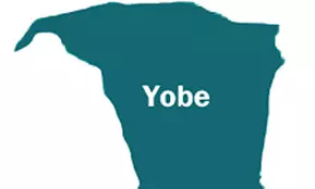 Yobe commissioner dies in auto crash