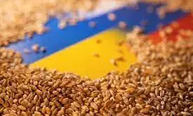 EU plans alternative routes for Ukrainian grain exports