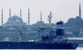 First Ukrainian grain shipment to arrive UK in 10 days