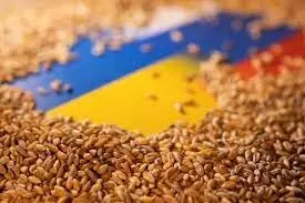 EU plans alternative routes for Ukrainian grain exports