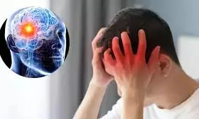 Scientists design drug delivery tools for brain cancer