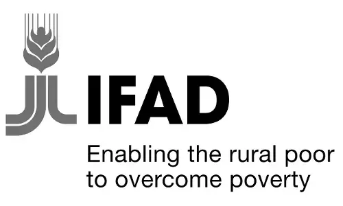 Youth mobilisation critical for food system transformation — IFAD Youth mobilisation critical for food system transformation — IFAD