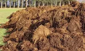 Fertilizer price hike: South East farmers resort to use of dungs