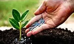 FG seals 4 fake fertiliser plants in Kano FG seals 4 fake fertiliser plants in Kano