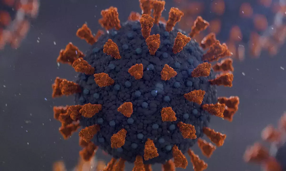 Experts call for research on local COVID-19 remedies