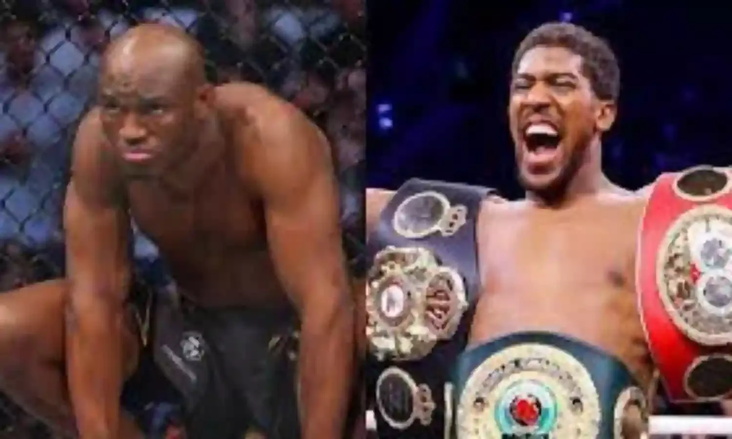 Sports enthusiasts say Joshua, Usman will be stronger