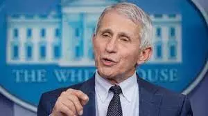 Chief medical adviser Fauci leaving White House in December