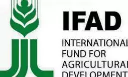 Group says unity among farmers, herders key to agriculture devt