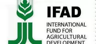 Group says unity among farmers, herders key to agriculture devt Group says unity among farmers, herders key to agriculture devt