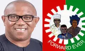 Embrace us, Obi presidential campaign council urges Imo LP