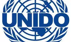 SMEs  key to economic growth in Nigeria– UNIDO boss