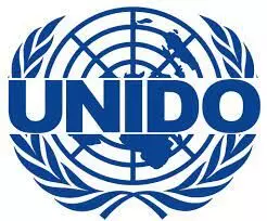 SMEs  key to economic growth in Nigeria– UNIDO boss