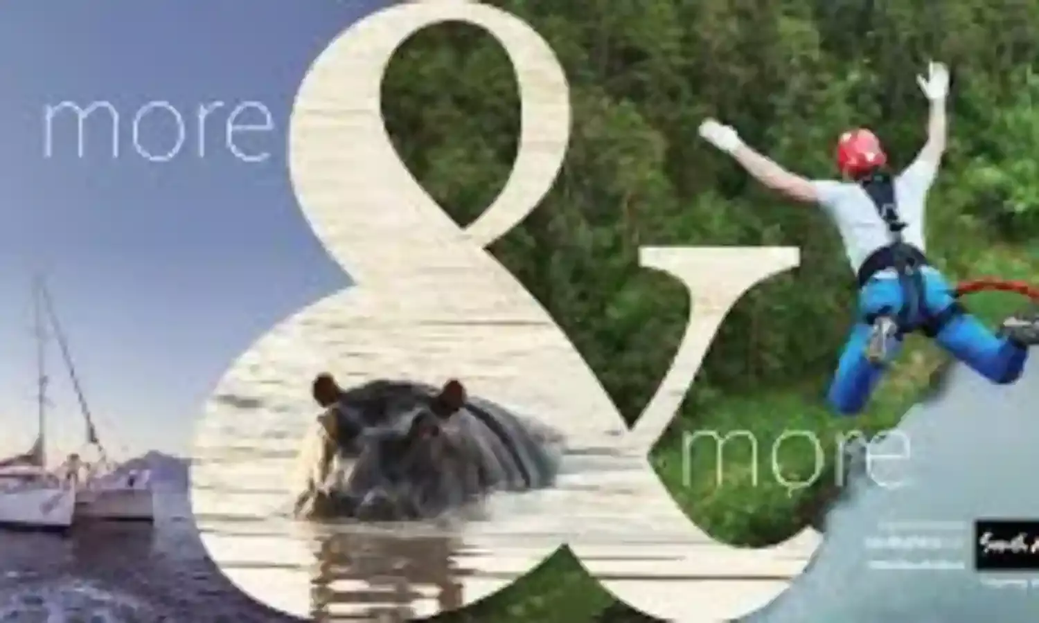 South Africas e-visa procurement portal now operational – Official